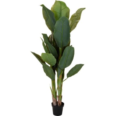 Kunst bananenplant